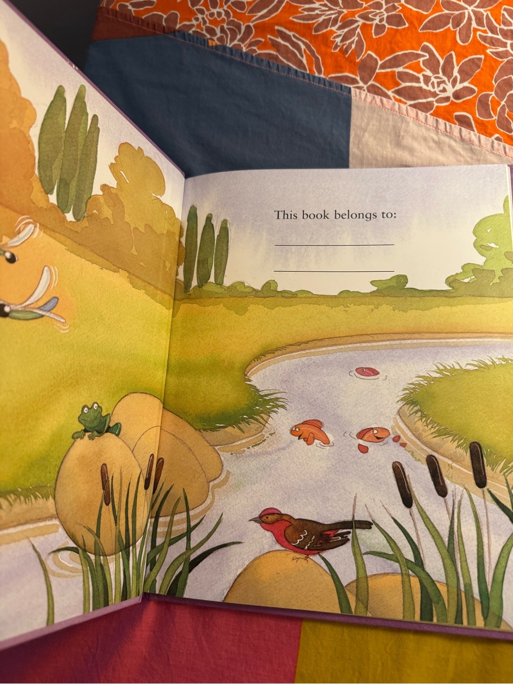 A lot of three children’s books-I love you grandma, llama llama,one two baa moo - Picture 8 of 16